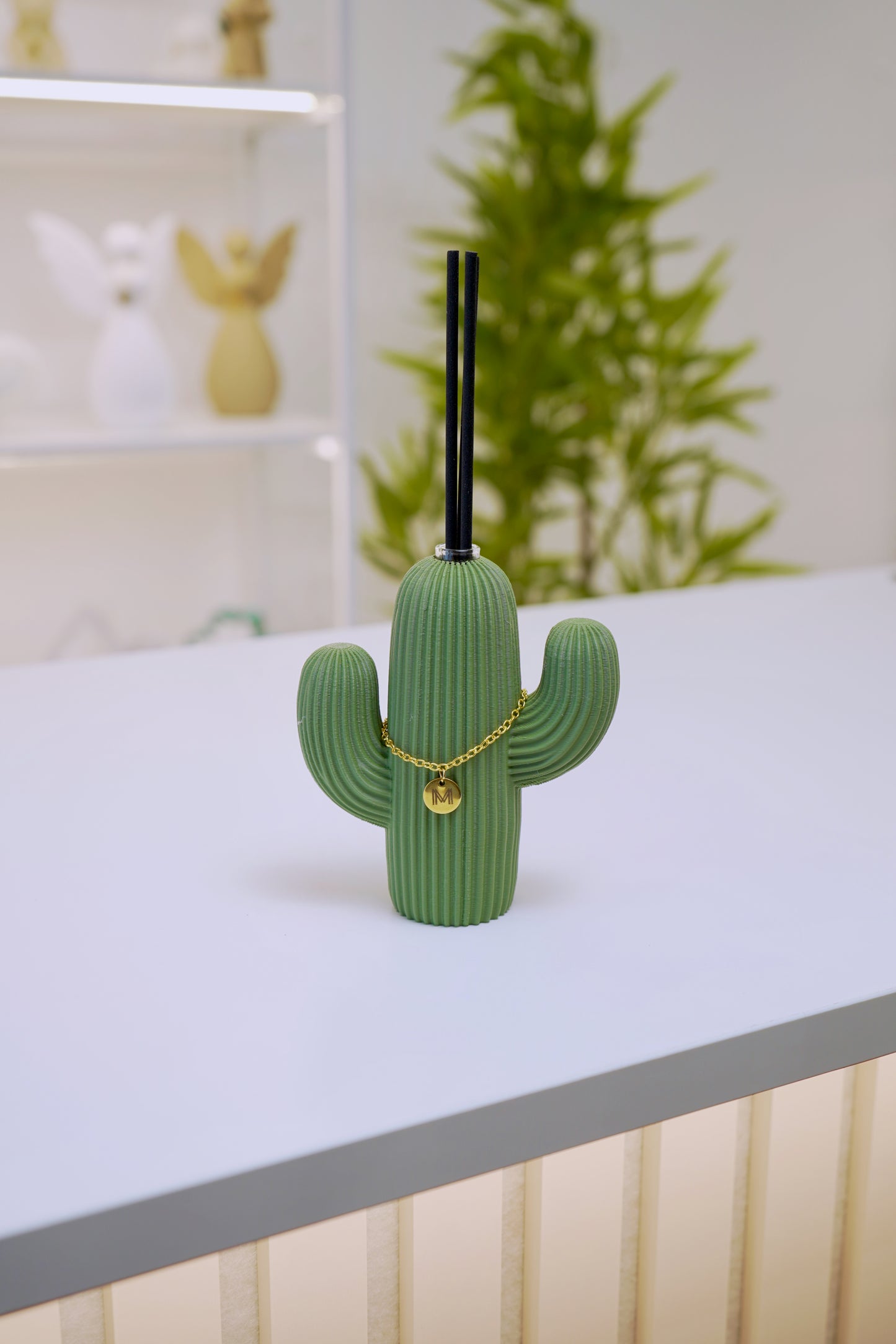 Cactus - Bomboniera
