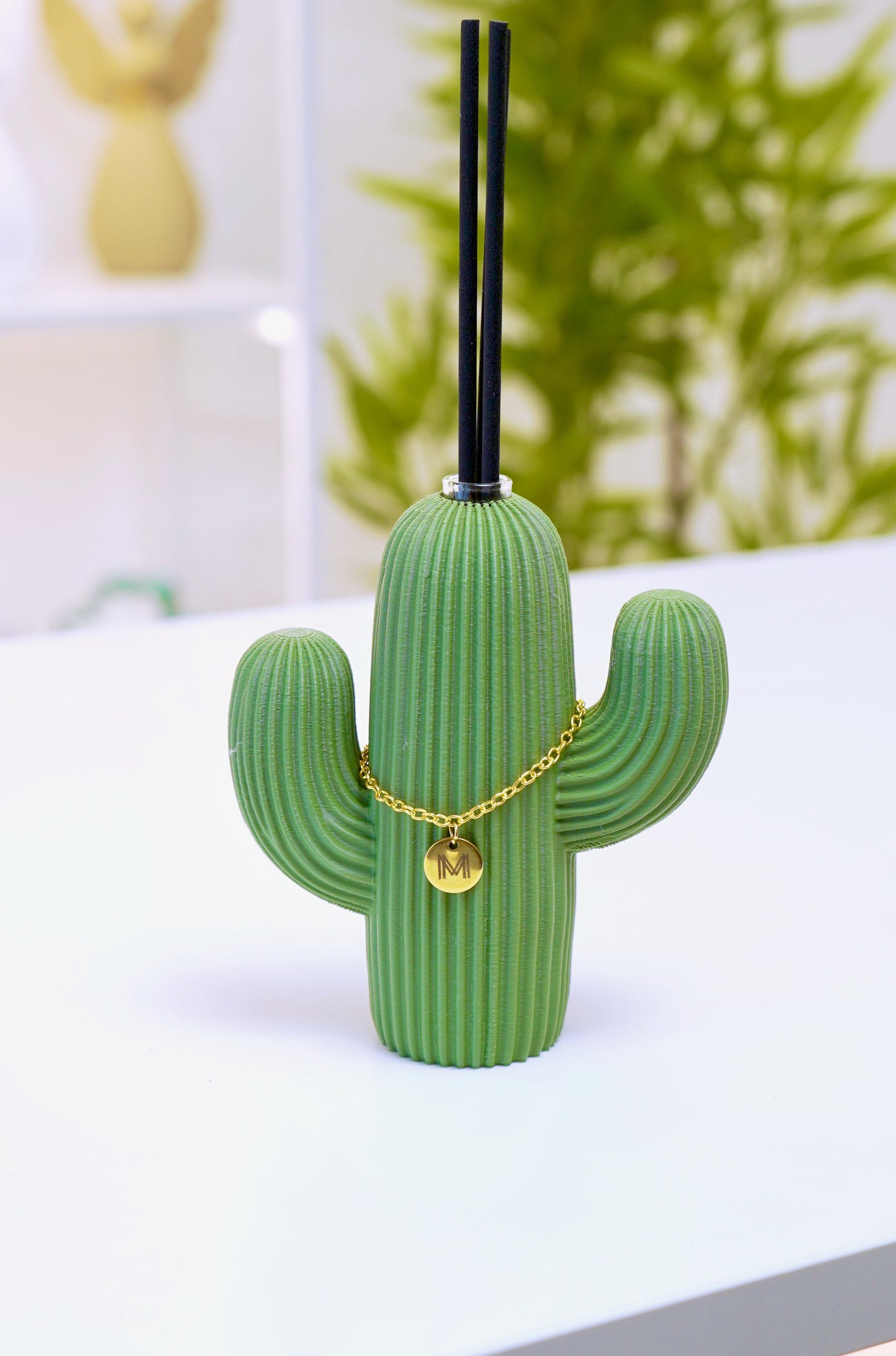 Cactus - Versione Regalo
