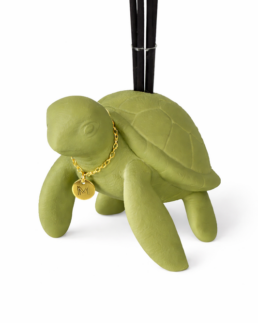 MINI TARTARUGA VERDE OLIVA