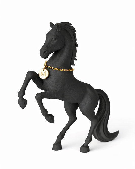 MINI CAVALLUCCIO NERO